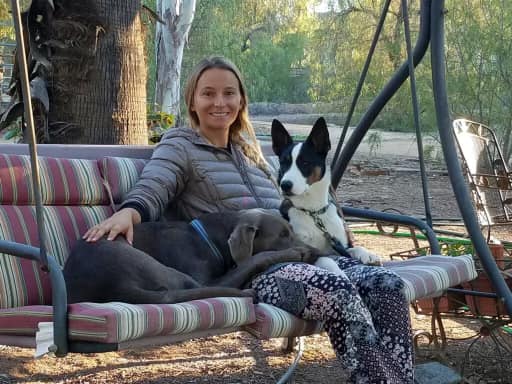 The dog is sitting on a swing with a woman