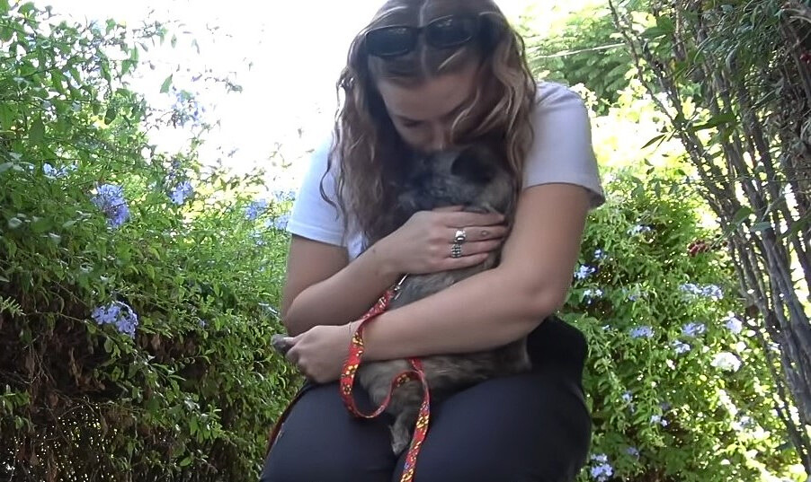 a girl holds a puppy in her arms and kisses it