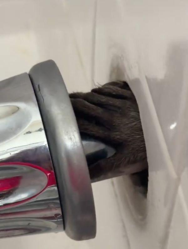 a hairy hand grabbed the pipe