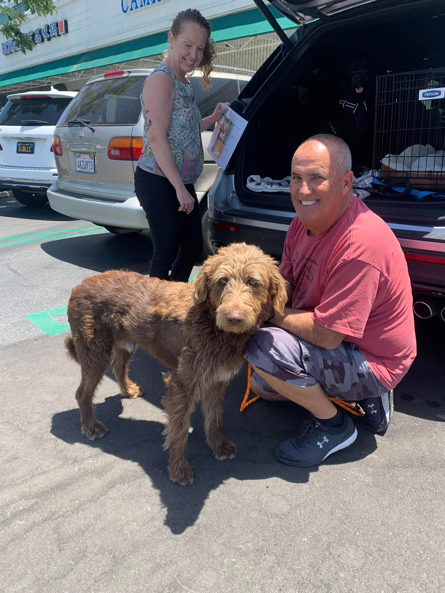 a man is holding a dog on a leash next to a car