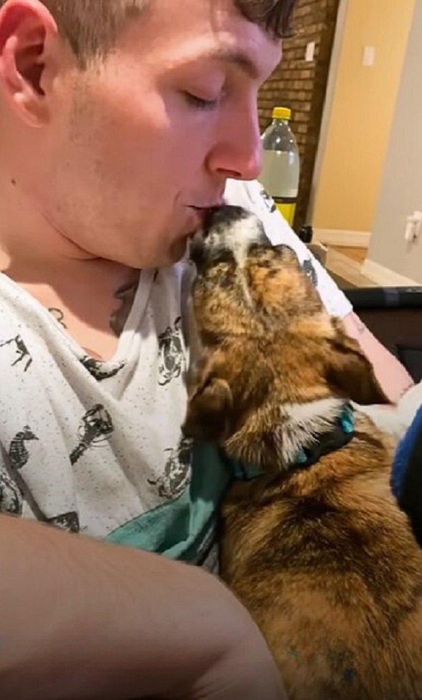 a man kisses a dog
