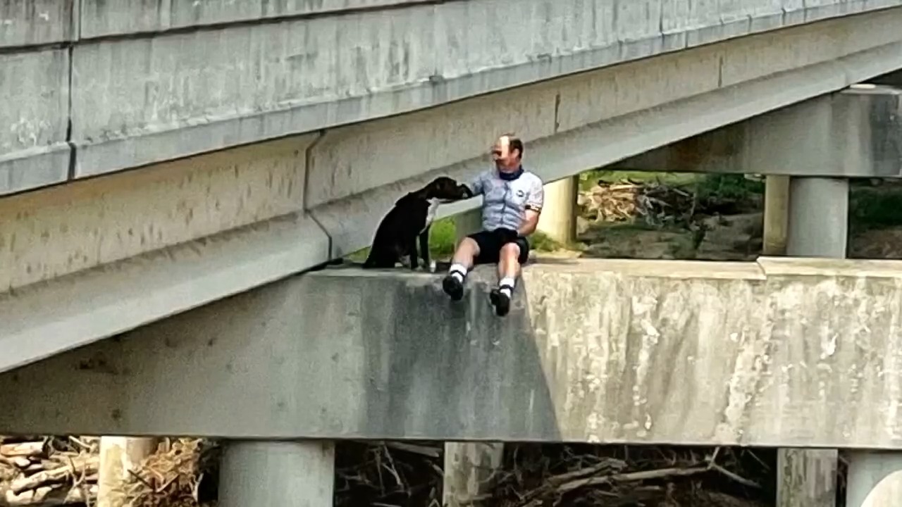 a man sits next to a dog on a stone step