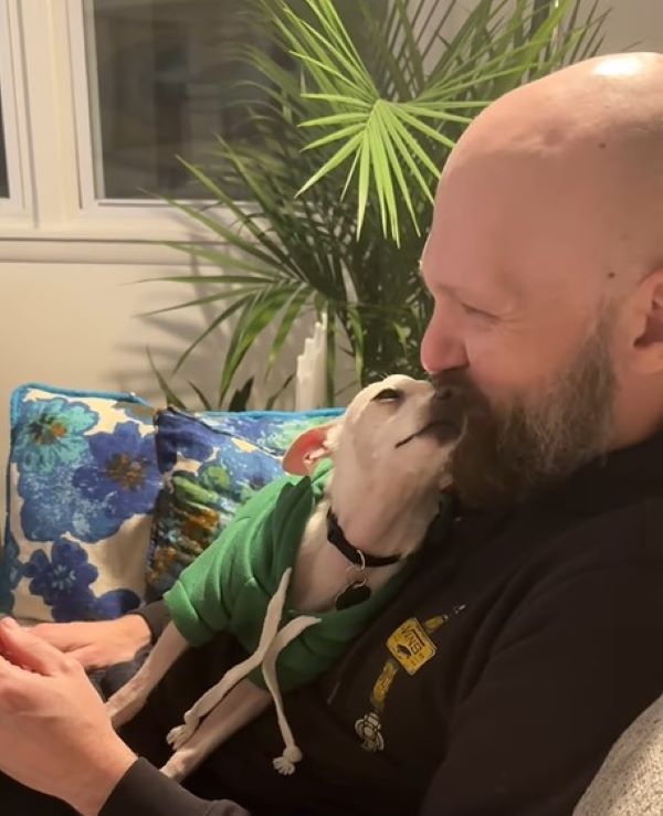 bald man and white dog