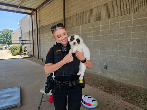 beautiful officer holding a puppy