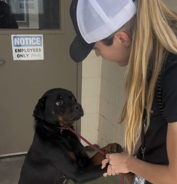 blonde woman and black dog