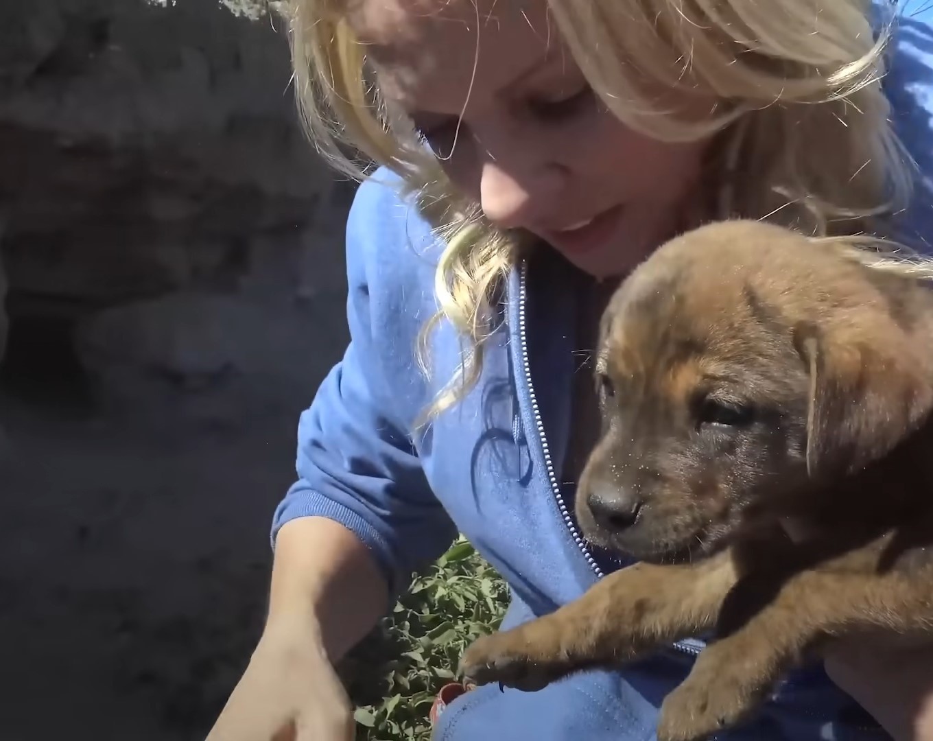 blonde woman and stray puppy
