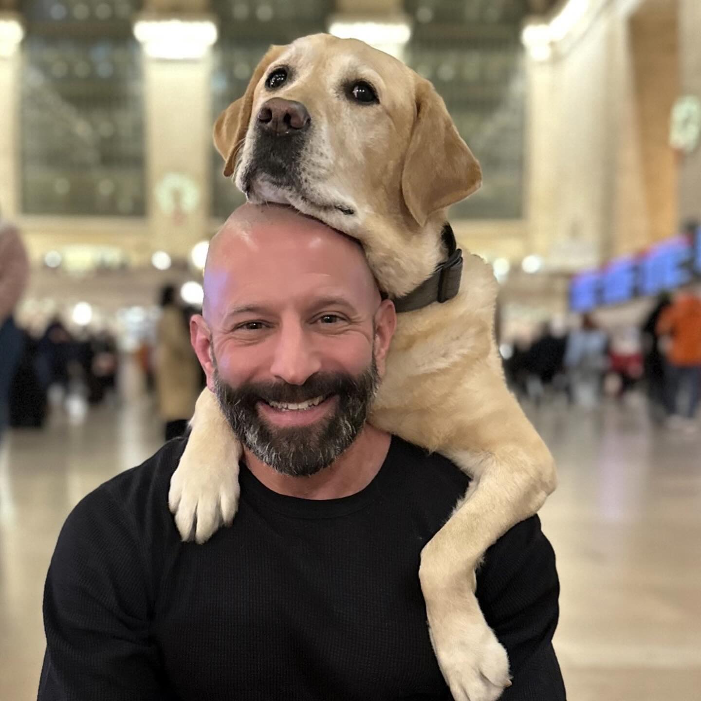 dog climbing on owner