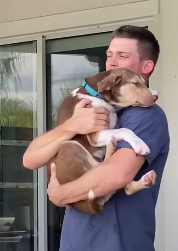 dog in a man's arms