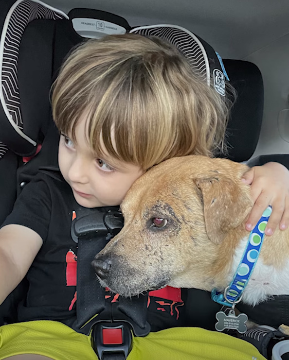 dog leaning its head on the boy