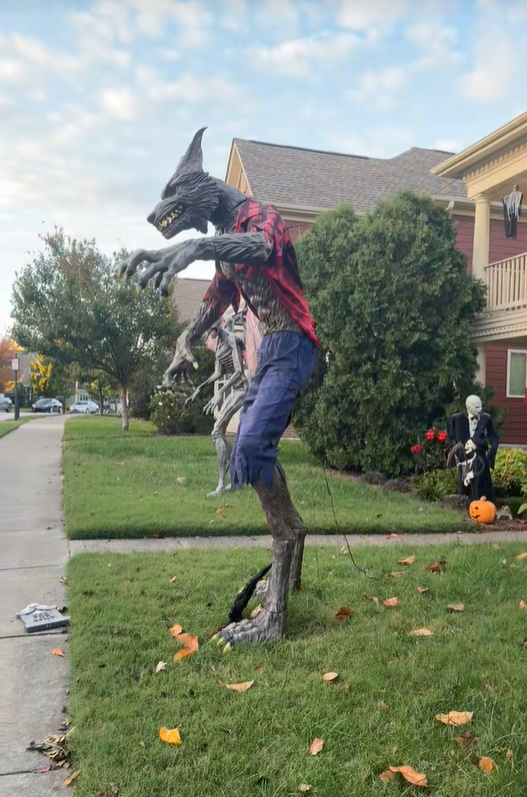 halloween decorations