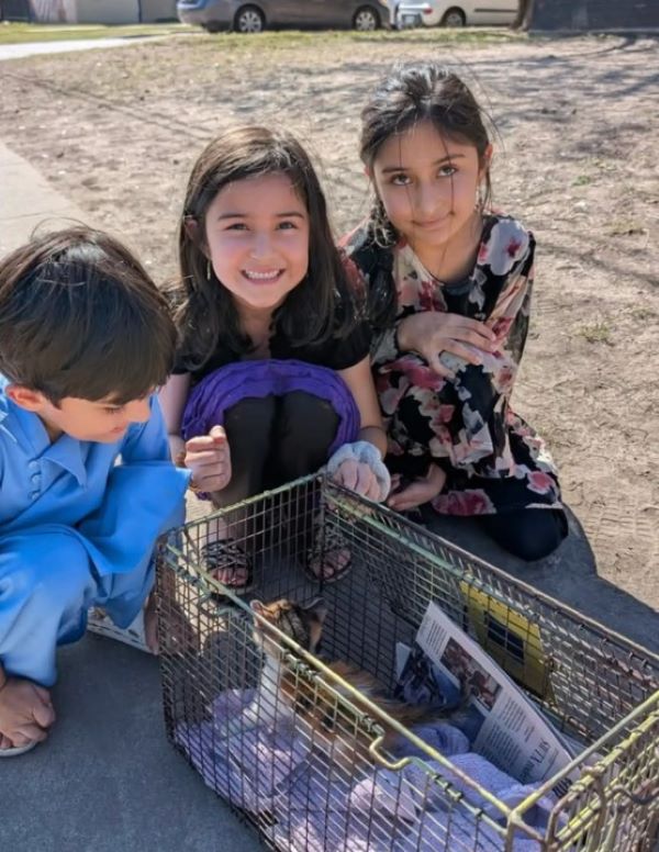 kids and tiny kitten
