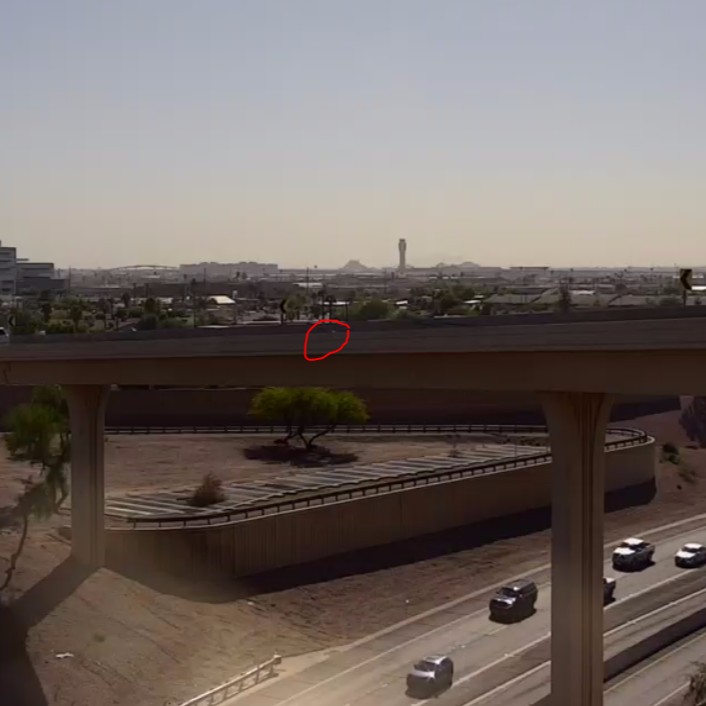 kitten stuck on bridge