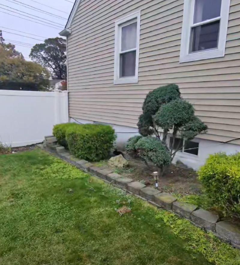 lost animal in garden