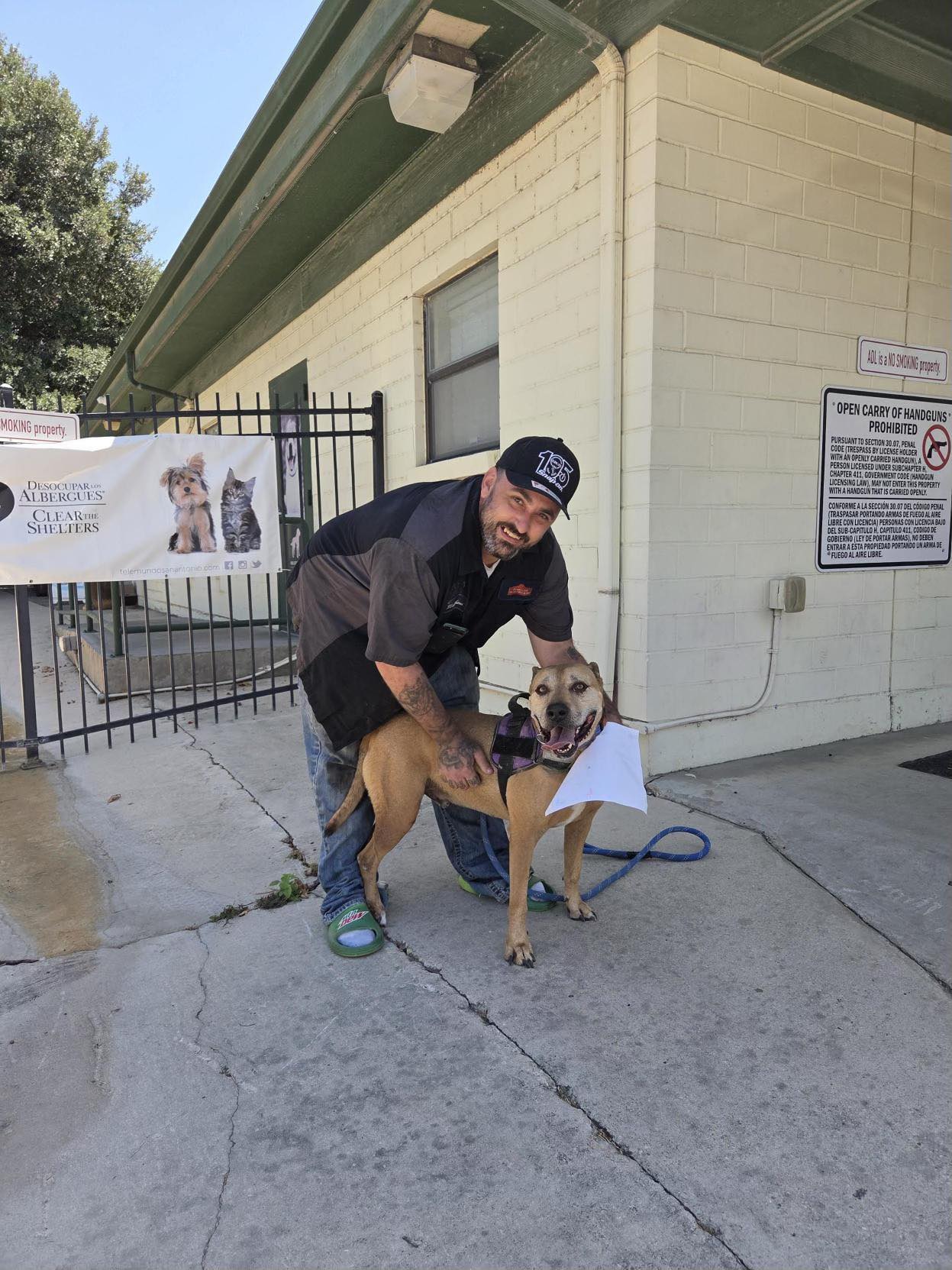 man and adopted brown dog