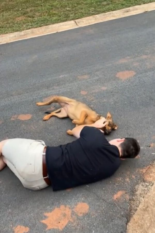 man and dog laying on road