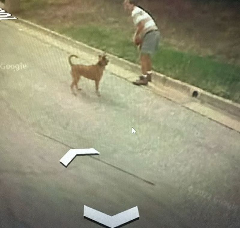 man and dog on picture