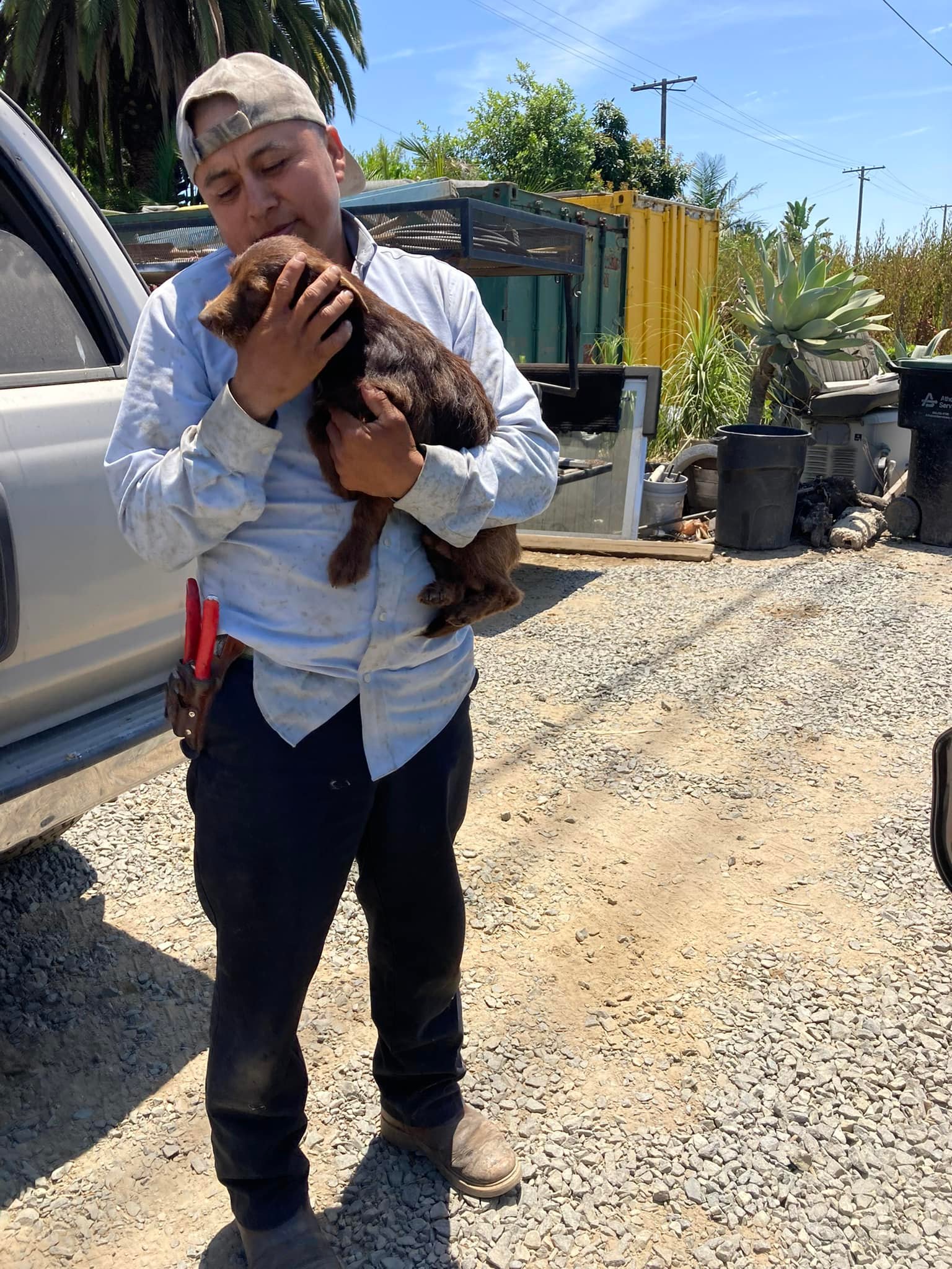 man holding a brown dog
