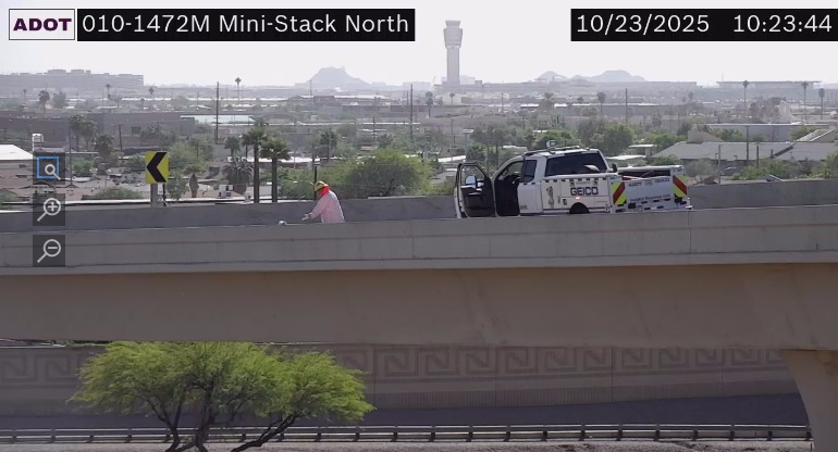 man saving a kitten on bridge