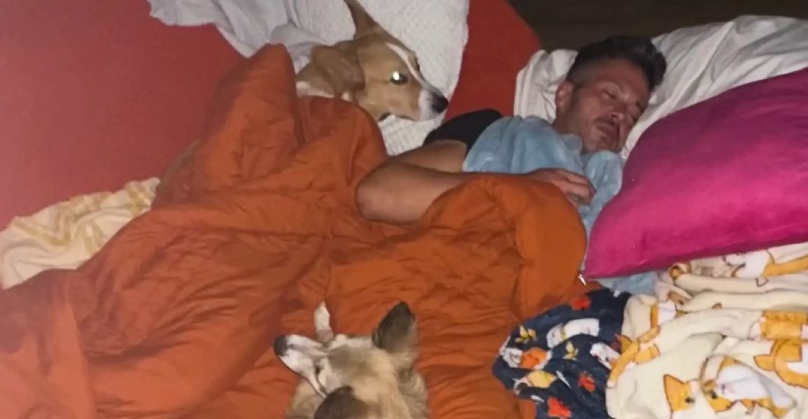 man sleeping with dogs