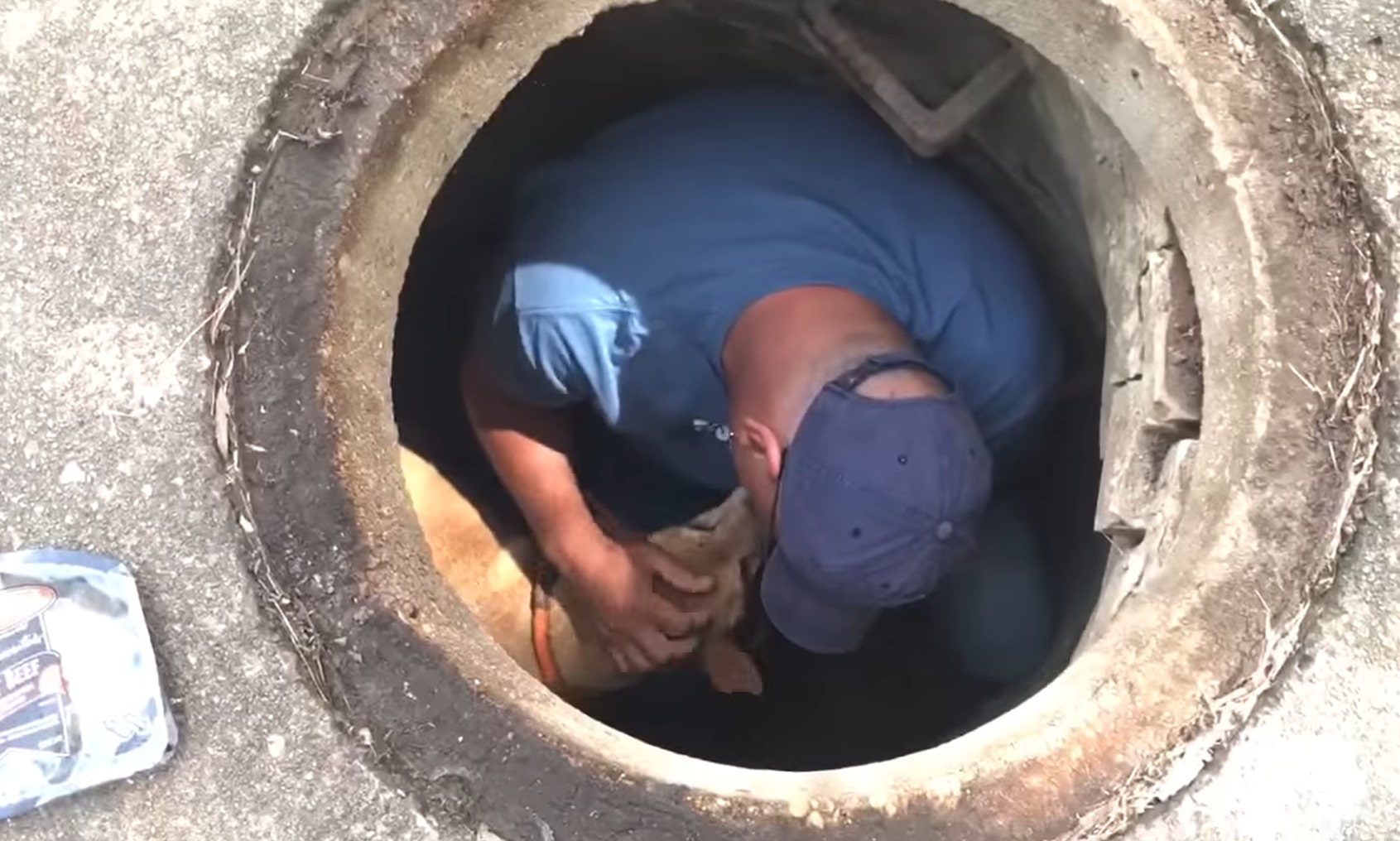 man with dog in manhole
