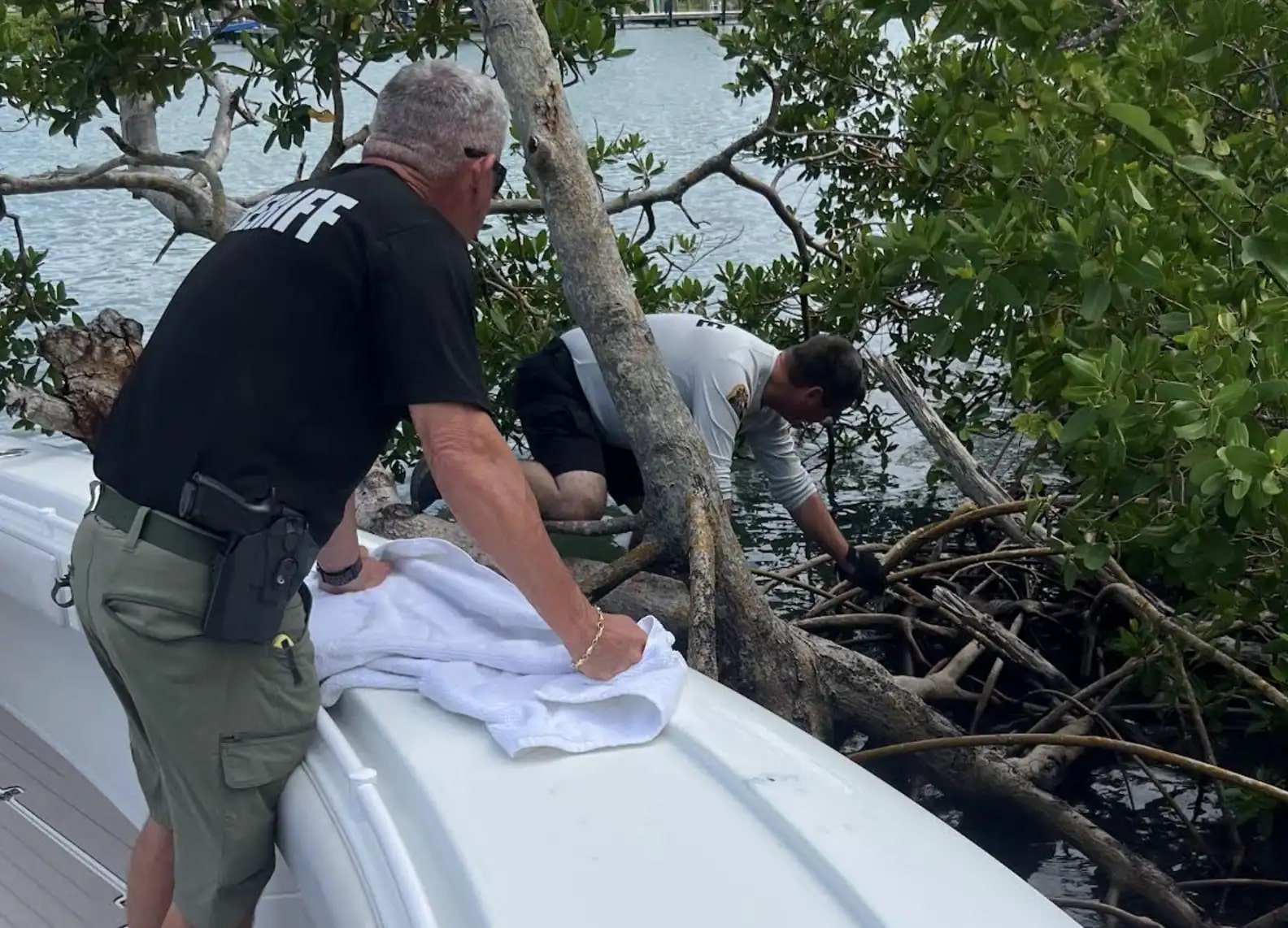 men saving an animal
