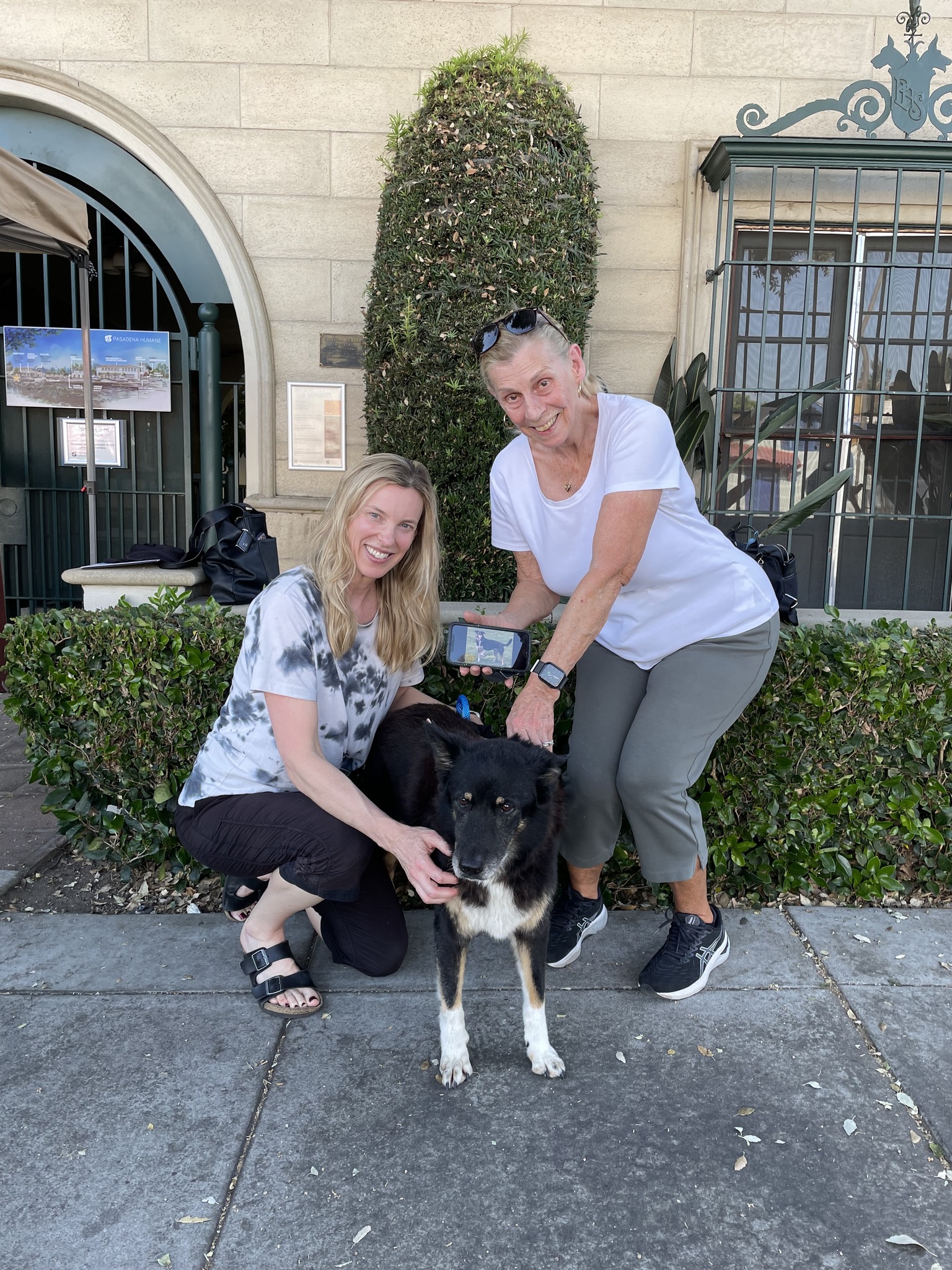 middle aged women with dog