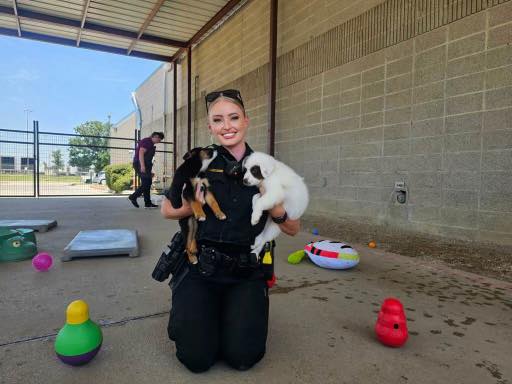 officer with two puppies