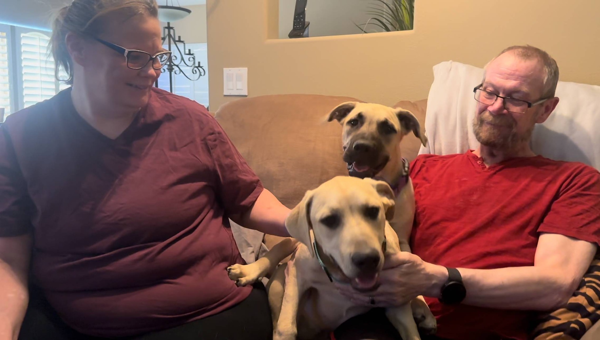 old couple and two dogs