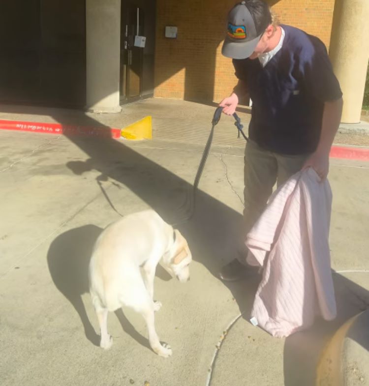 old man with white dog