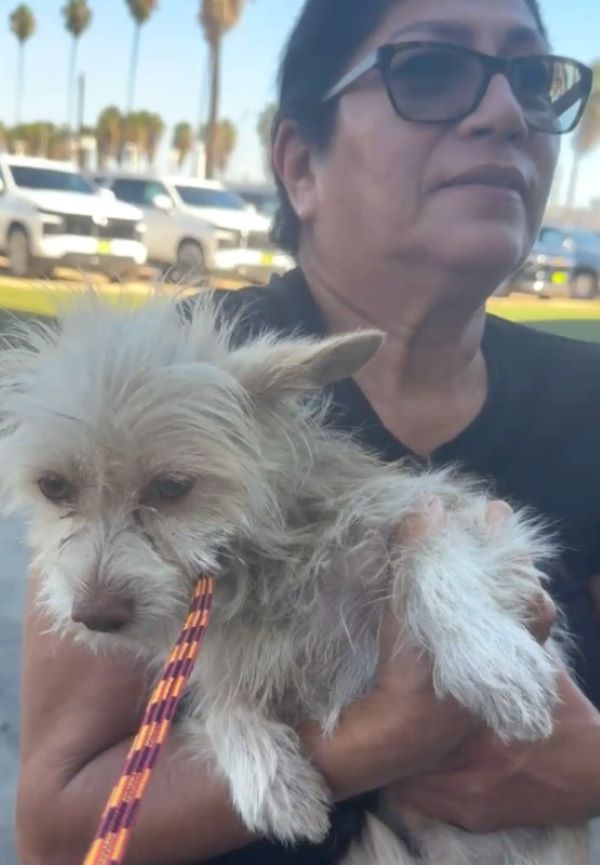 old woman holding a puppy