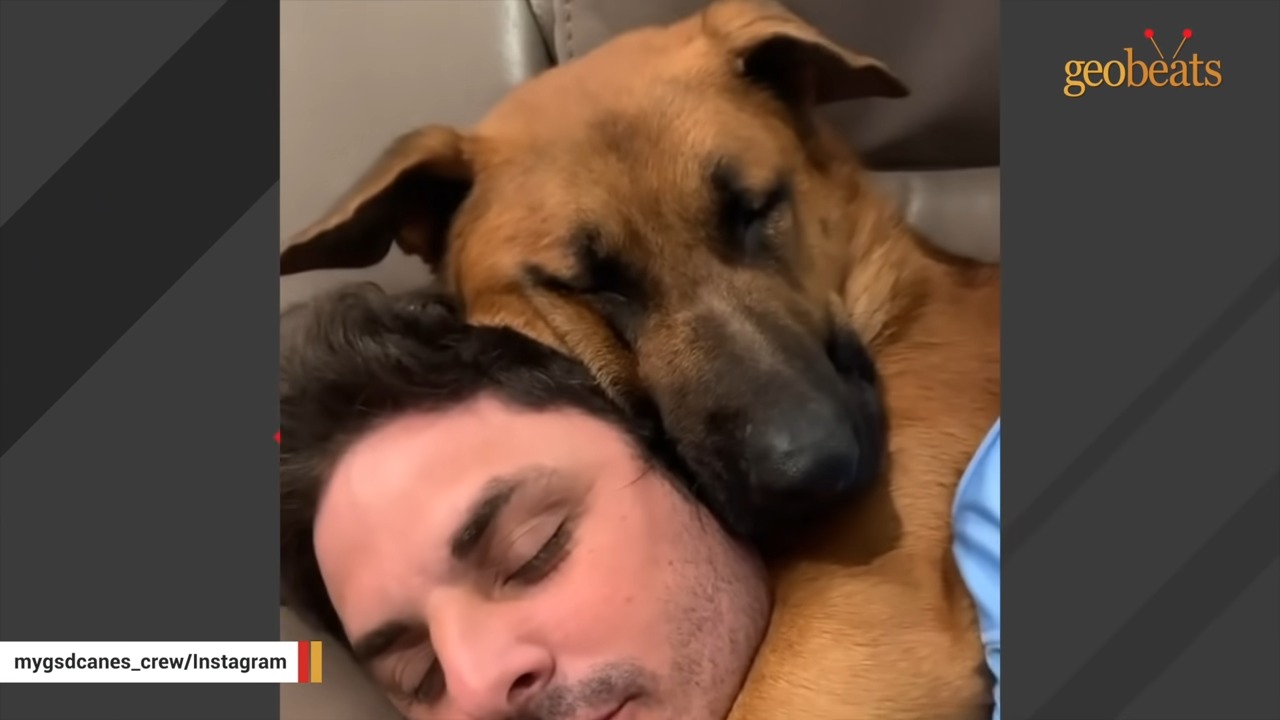 owner and dog sleeping together