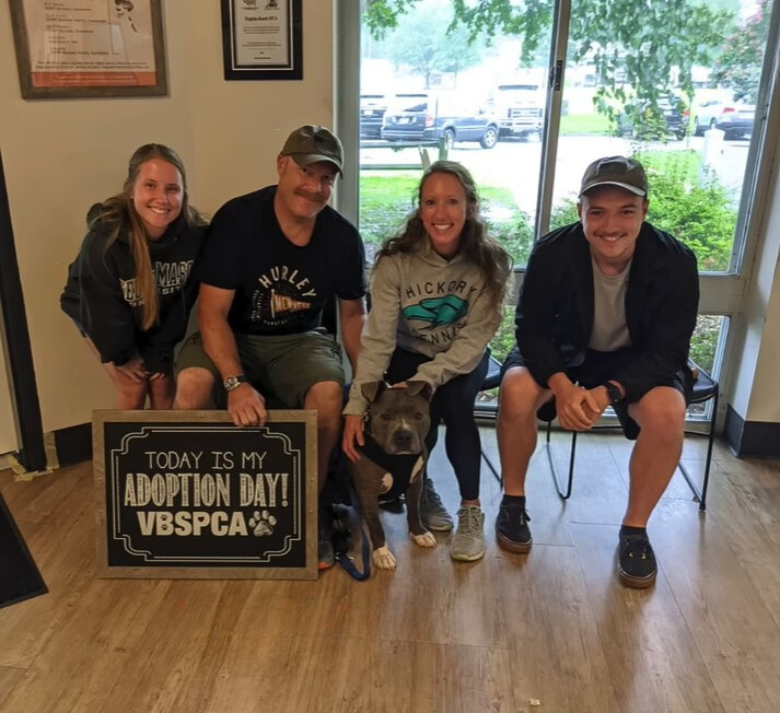 people and senior dog