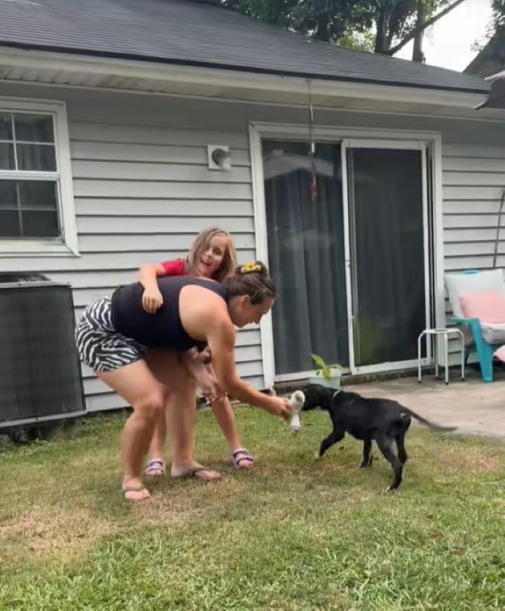 playful dog in the yard with a woman and a girl