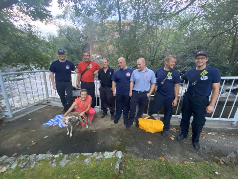rescuers and dog