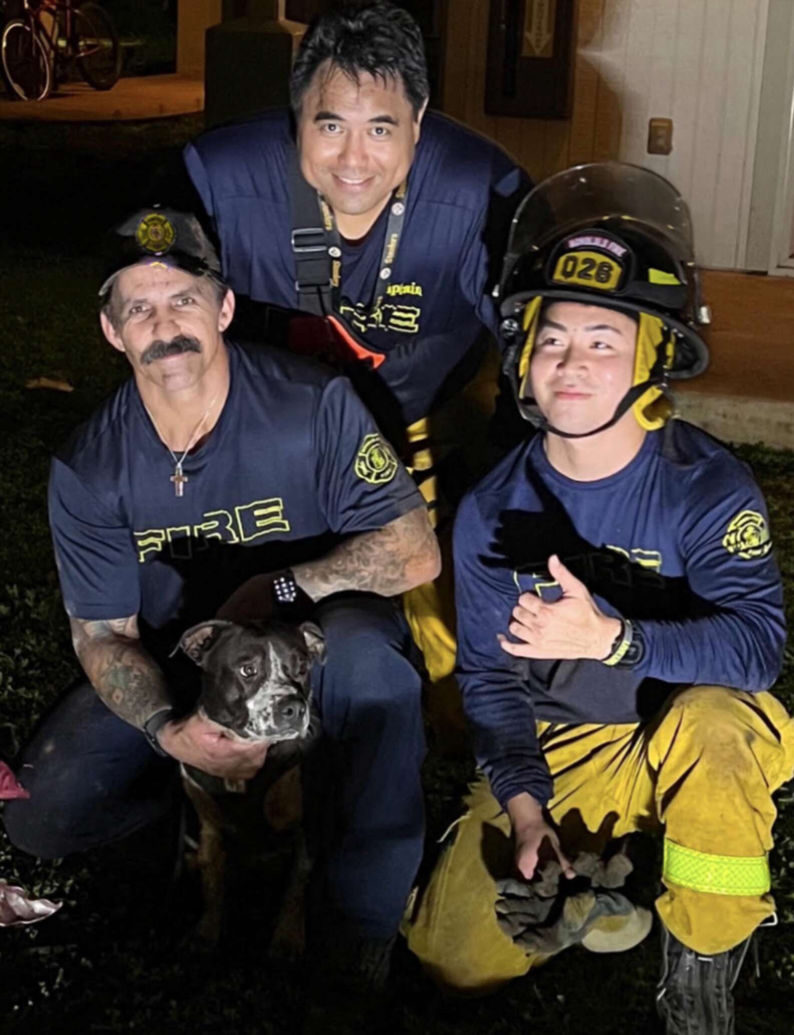 rescuers and pit bull