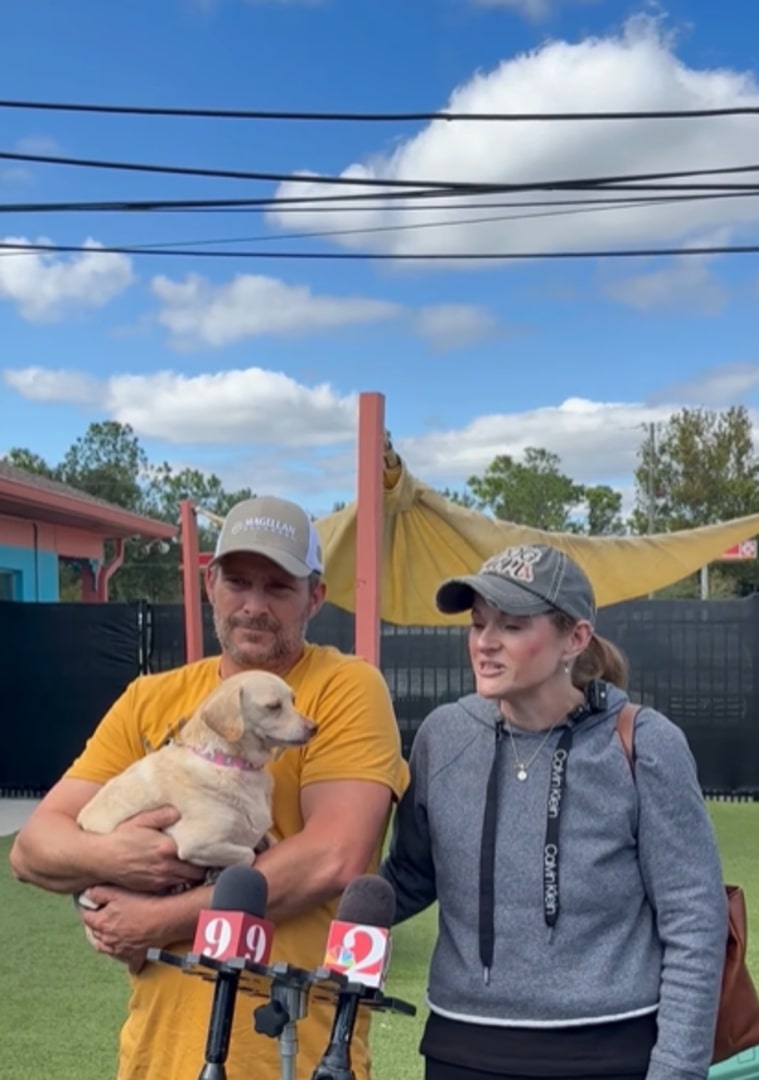 senior couple and dog