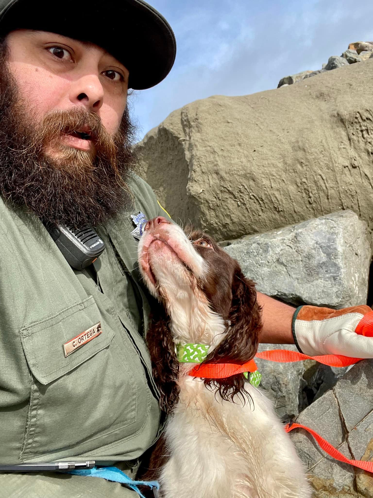 the dog looks at the man