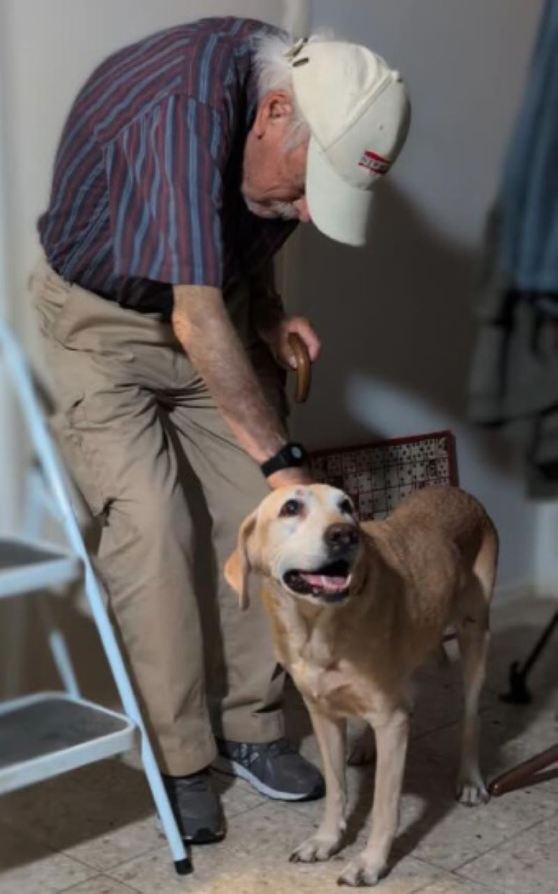 veteran petting a dog