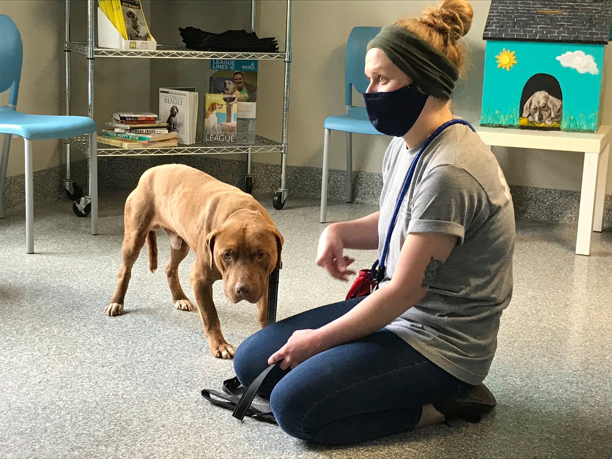 woman and dog in house