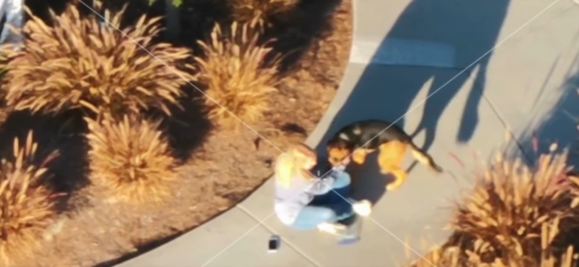 woman and dog on street
