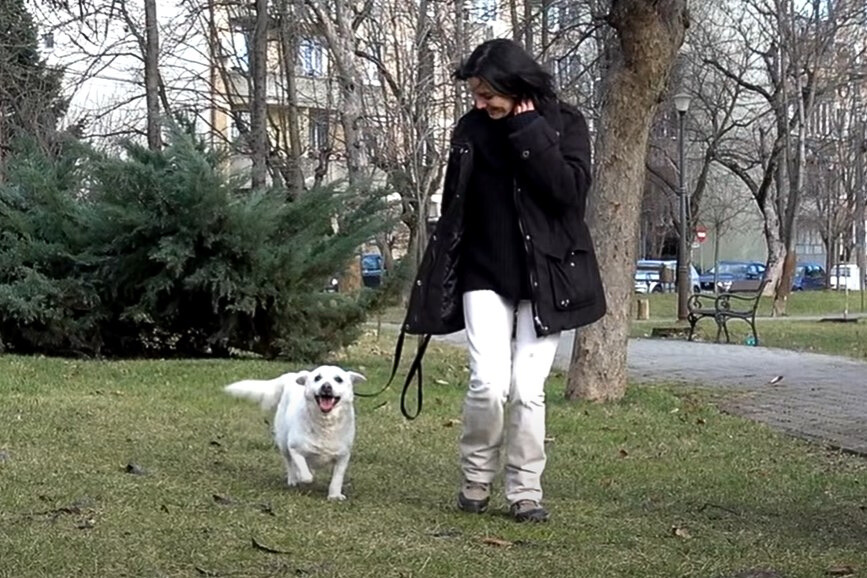 woman and dog walking in the park