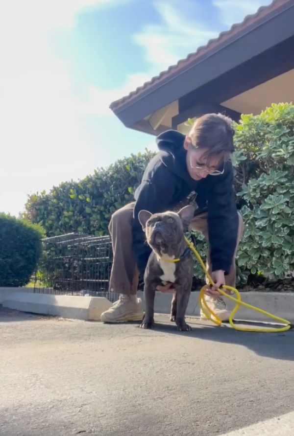 woman and tiny black dog