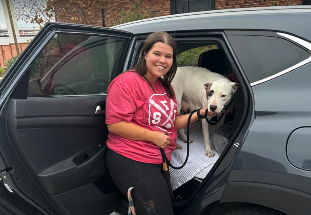 woman and white dog in car