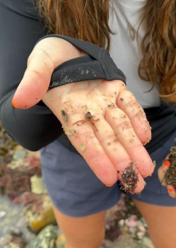 woman holding a baby octopus