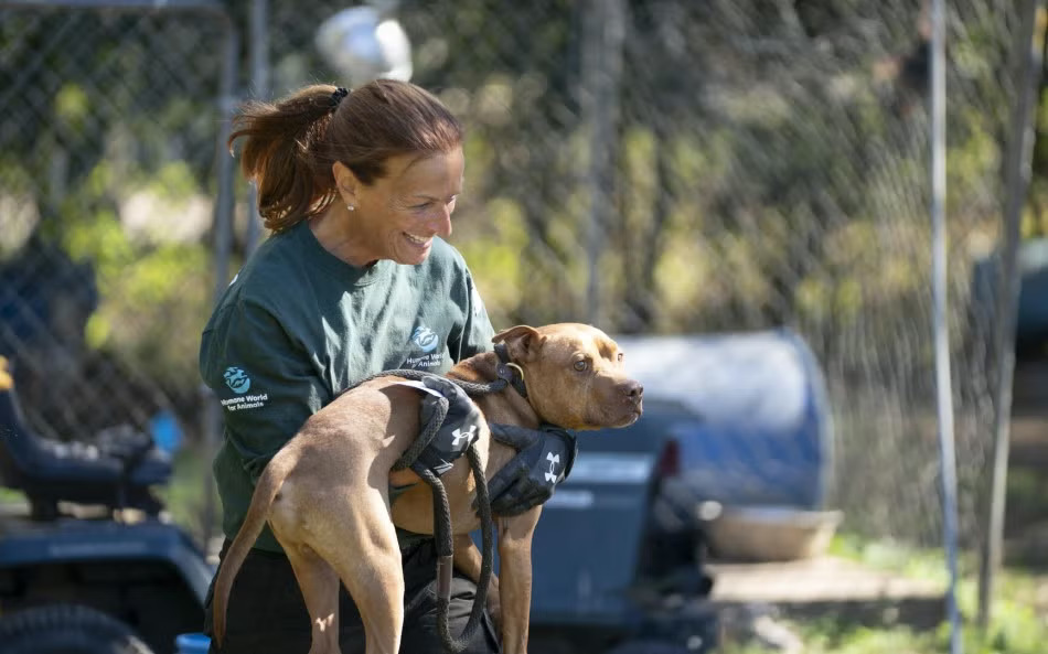woman holding a brown dog