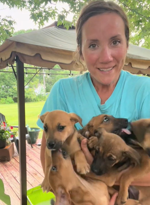 woman holding a many puppies