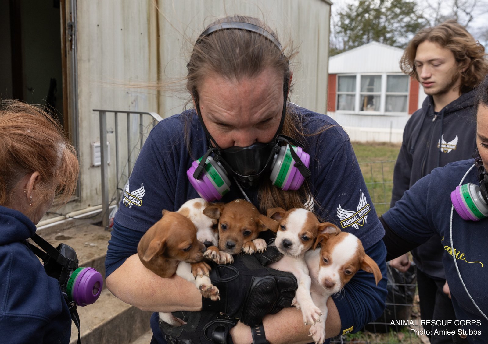 woman holding a many puppies