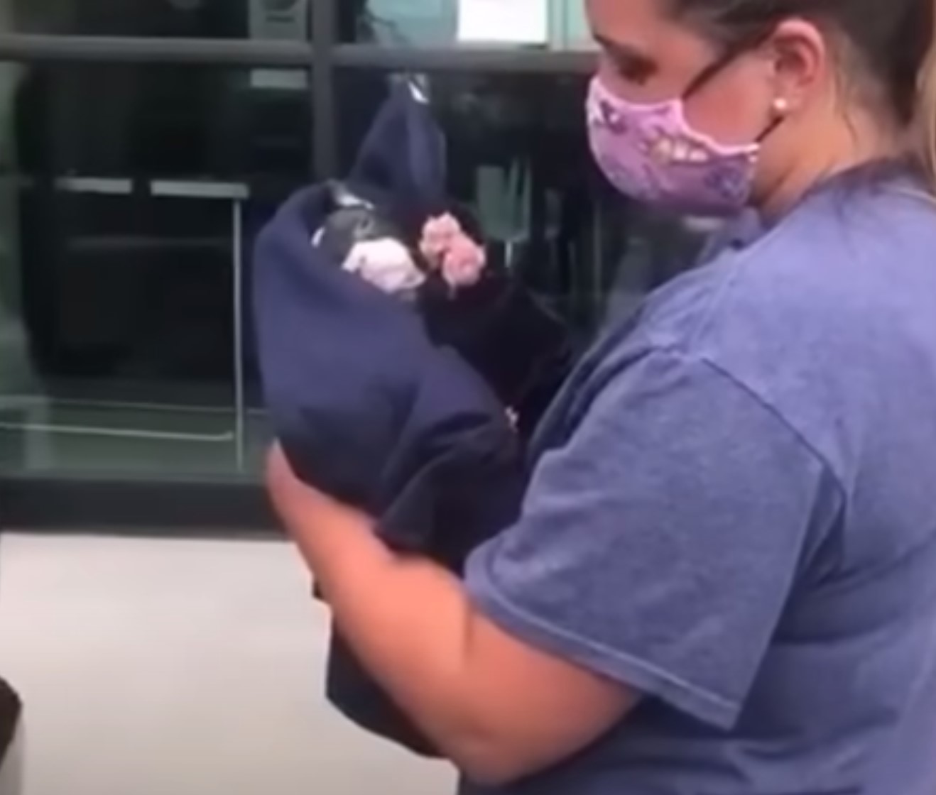 woman holding a newborn puppy