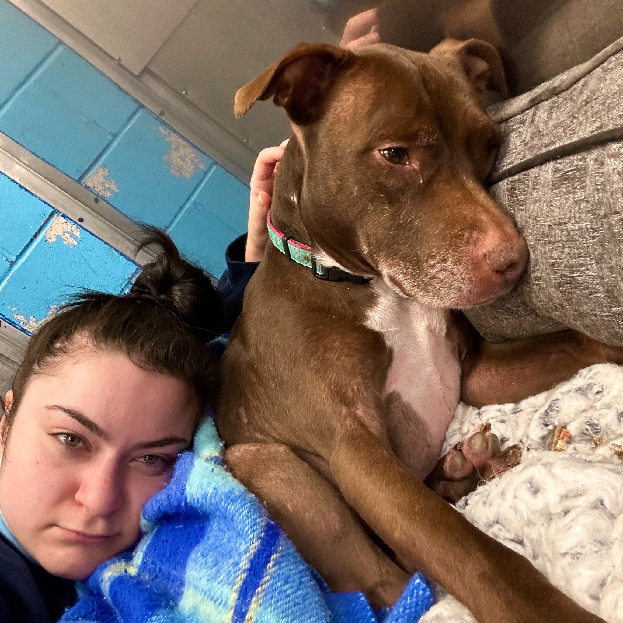 woman lying next to sad dog