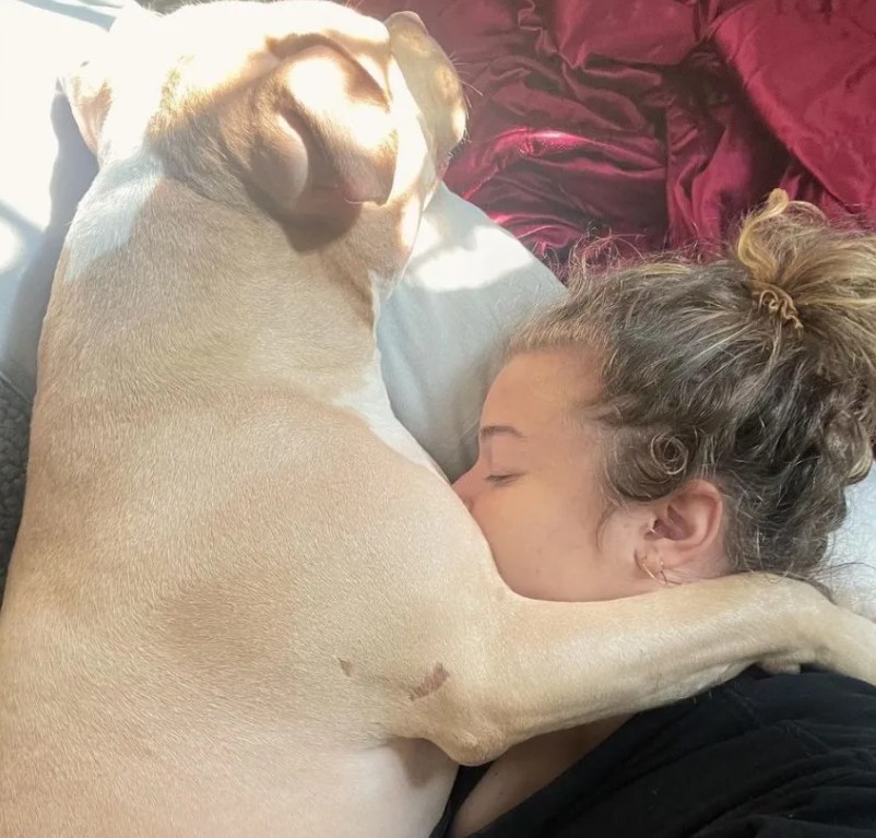 woman sleeping in dog's arms
